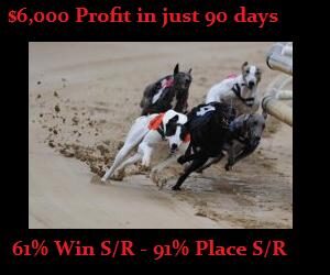 Greyhound Racing Software – Ultimate Guide